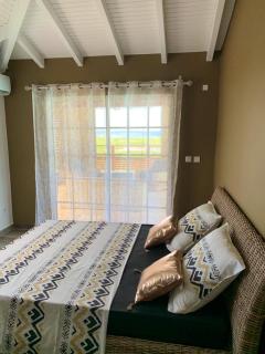 Villa contemporaine au Marin avec piscine privée - Le Marin - 2