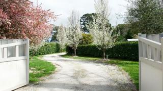 Robin Hill Manor - Moss Vale - 8