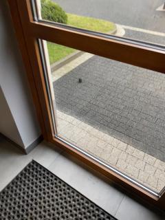 Apartament Dziewiątka - 8