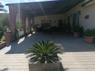 Villa Paquita - Delta de l'Ebre - Deltebre - 3