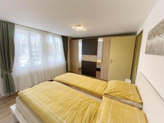 Holiday Apartments Falke - Brienz - 3