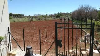 Villa Aurora - Santa Maria al Bagno - 3