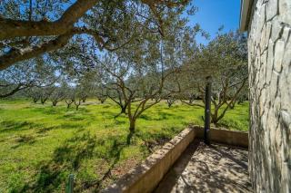 Grandpa's olives tiny house - Stari Grad - 6