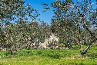 Grandpa's olives tiny house - Stari Grad - 3