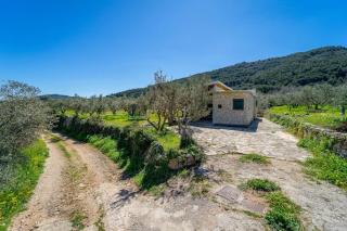 Grandpa's olives tiny house - Stari Grad - 2