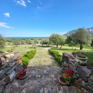 Agriturismo Su Barcu - Cala Gonone - 2