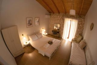 Noemie Studios - Athani - 0