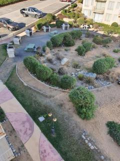Dpto Bordemar 2 - Las Cruces - 6