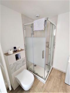 Appartement T2 "Mésange" Hyper centre d'Ernée - Ernée - 3