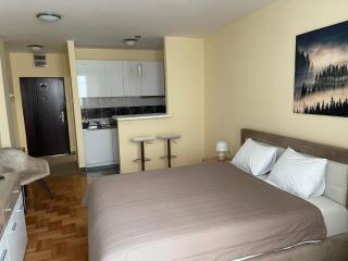 Trident Apartments 2 - Niš - 3