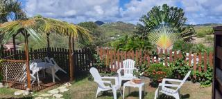 Fleur des Caraïbes - Sainte-Anne - 2