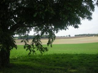 Ferme rénovée au calme avec internet et grand espace extérieur - FR-1-591-149 - Palluau-sur-Indre - 5