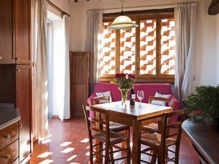 Apartment in Greve in Chianti with garden - Greve in Chianti - 3