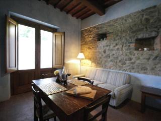Apartment in Chianti near Florence - Castelfranco Piandisco - 8