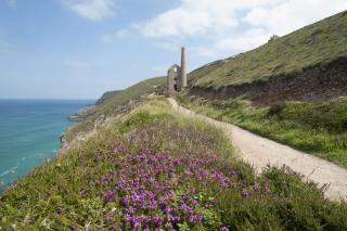 The Deck House - St Agnes - 6