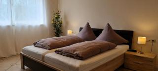 GardenView Apartments & Suites bei Bad Kissingen - Nüdlingen - 3