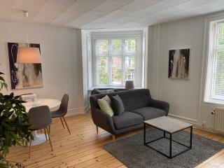 Bright 2-bedroom apartment in elegant Østerbro - 4