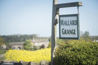 Mallard Grange B&B - Ripon - 9