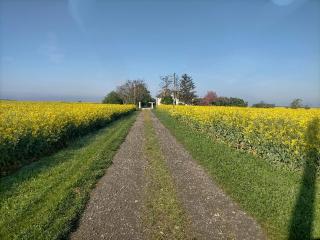 studio " tournesol " au coeur du Berry - Les Bordes - 1