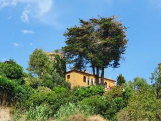 Medieval tower & villa by the sea - 7