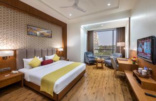 Lords Inn Somnath - Somnath - 7
