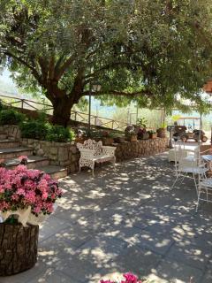 Agriturismo Nonno Luigino - Vico Equense - 7