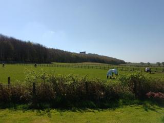 Coxgreen Old Schoolhouse - Sunderland - 6