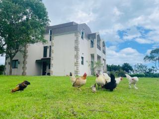 Taroko Mountain View B&B - Shunan - 9