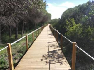 São João da Caparica Beach Apartment - 4