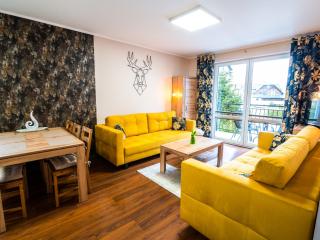 Markowe Apartamenty Złoty Park - Szklarska Poręba - 0
