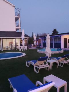 Weißer Schwan Белият лебед - 7