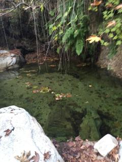#10 Despina Studios Kastanies Raxes Ikaria - 4