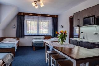 Willa Słoneczna - Pokoje i apartamenty - 10 minut do term na piechotę - Bukowina Tatrzańska - 9