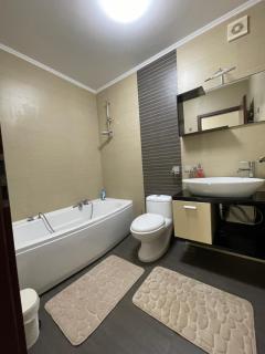 Sunny two room apartment, Baneasa, Petrom City, Free wi-fi and underground parking - Bucarest - 3