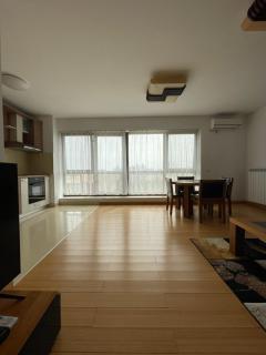 Sunny two room apartment, Baneasa, Petrom City, Free wi-fi and underground parking - Bucarest - 8