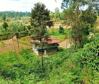 SAMZ ESTATE Stay 3BHK - Madikeri - 1