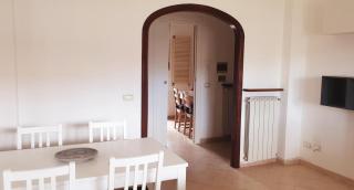 Carachouse-Lido di Camaiore, tra pini marini e mare - 1