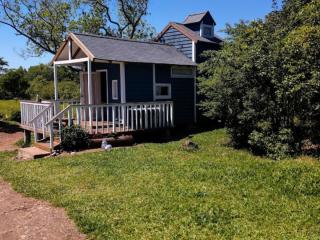 TinyHouseGarden Morning Glory - Praia Grande - 5
