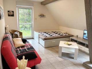 Appartement spacieux avec terrasse et jardin à Lohr, 120 m². - Lohr - 1