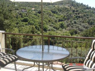Loft Studio Raxes Kastanies Ikaria # 6 - Raches - 8