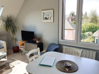 CHARMANT APPARTEMENT à 150 M des THERMES et du CENTRE VILLE - Thonon-les-Bains - 7