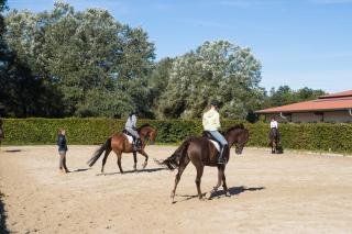 Heidegut Eschede Reitsportanlage und Feriendorf - 3