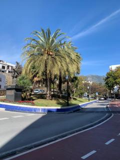 Morgan apartamentos Marbella centro - Marbella - 5