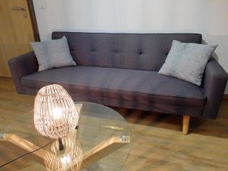 Gite "Le Platane" 45 m2 - climatisé - Monswiller - 2