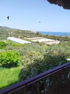 Real Holidays Antoniadou - Rustic House - 2