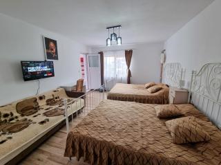 Casa Bunicilor Bucovina - Câmpulung Moldovenesc - 3