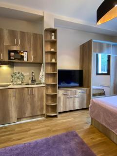 SanStef Studio - 2