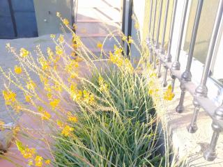 Departamento 1 Tandil - Tandil - 2