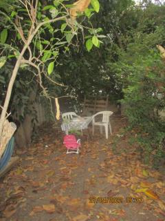 דירת אירוח בצל האילנות - 8