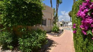 MAISON ENTIERE AVEC PISCINE, WIFI, GRAND SOLARIUM ET TERRAIN ARBORE - Orihuela - 3